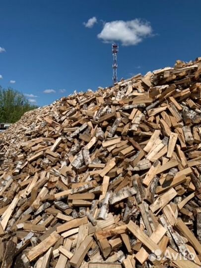 Дрова берёзовые
