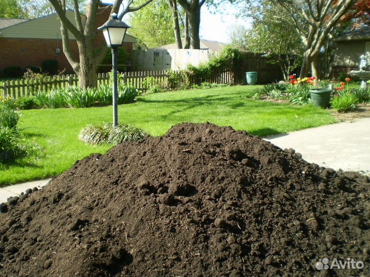 Чернозем ЗИЛ