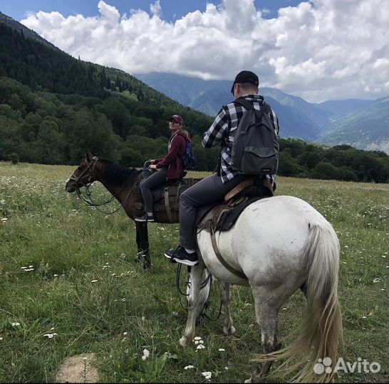 Конные прогулки Теберда