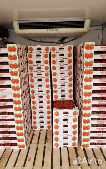 Клубника свежая