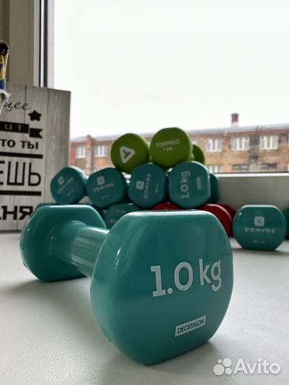 Гантели 1 кг