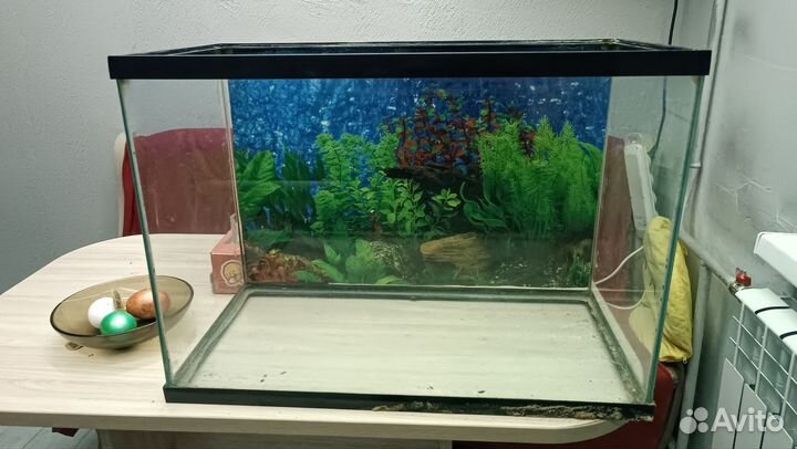 Аквариум