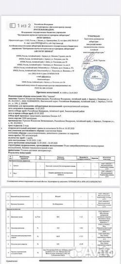 Оптом Майский свежий мед