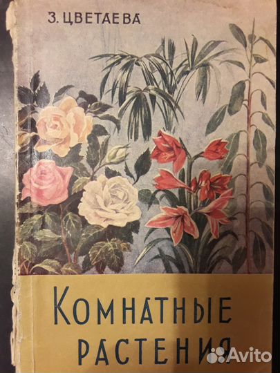 Комнатные растения. Цветник на подоконнике