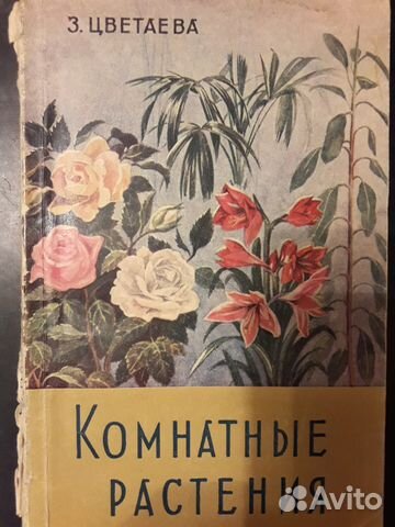 Комнатные растения. Цветник на подоконнике