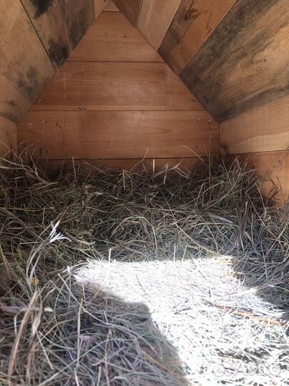 Будка для собаки утепленная новая