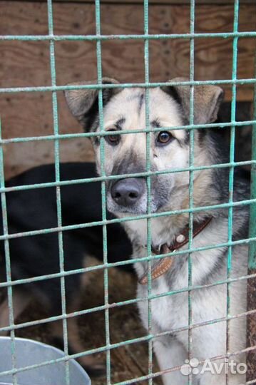 Выбери меня хоть раз, пожалуйста