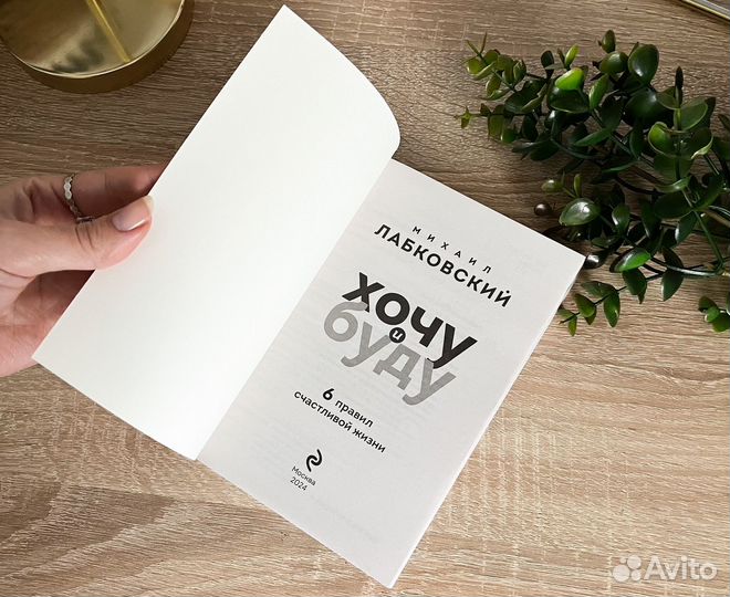 Книга Михаил Лабковский 