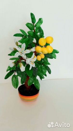 Лимонное дерево