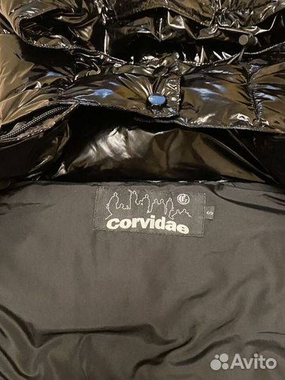 Пуховик corvidae s