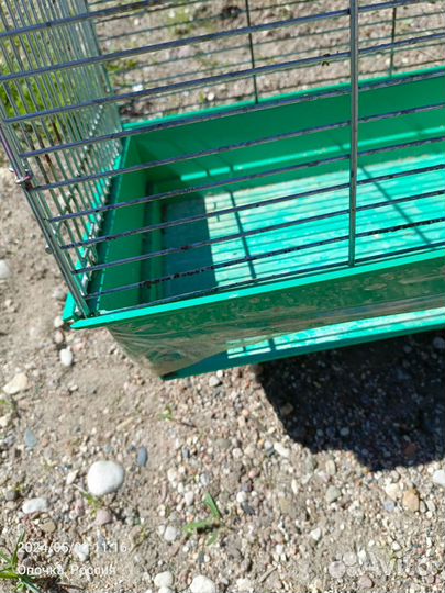 Клетке для птиц