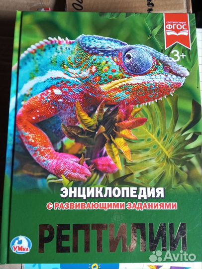 Книги. Энциклопедии