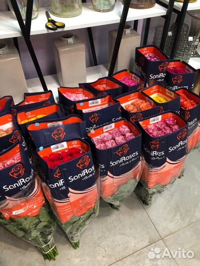 Розы оптом, Розы цветы Доставка