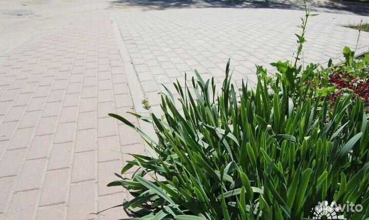 Тротуарная плитка / Брусчатка