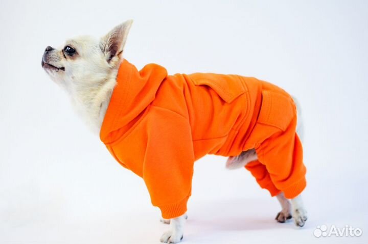 Комбенизон 27р-р для маленькой собаки