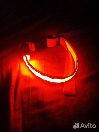 Светящиеся ошейники размер XL