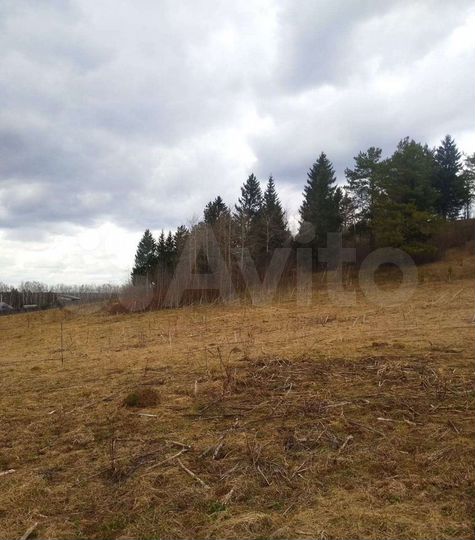 Участок 12,7 сот. (СНТ, ДНП)