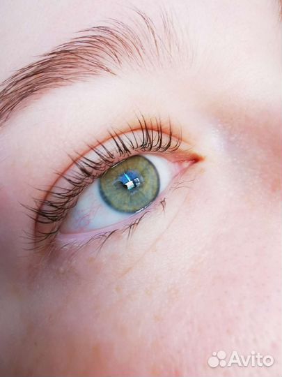 Ламинирование, ботокс ресниц и бровей Парнас