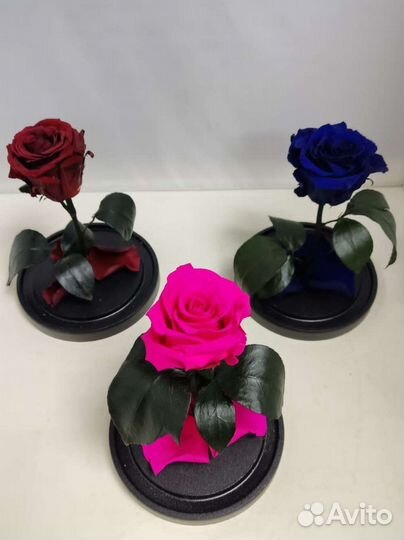 Роза в колбе оптом