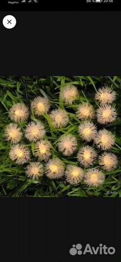 Новые гирлянды для сада и огорода на солн. бат