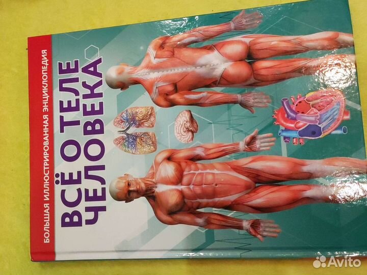 Книга всё о теле человека