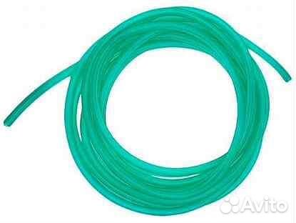 Аквариумные обитатели