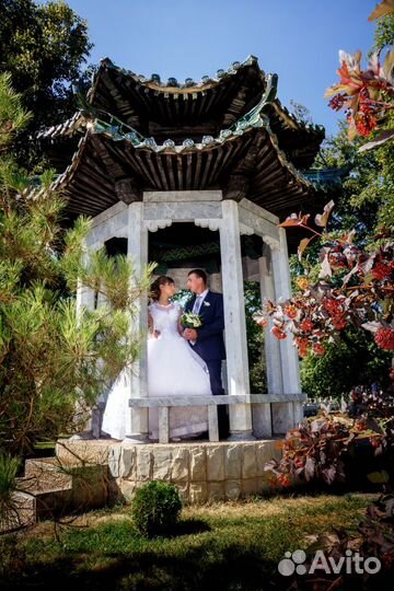 Фото Видео Свадебы Юбилеи Выпускные альбомы