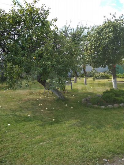 Дом 120 м² на участке 20 сот.