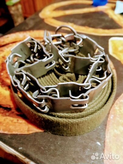 Строгий ошейник с усиленным поводком для собак