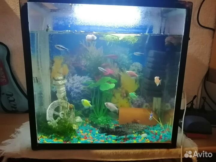 Аквариум