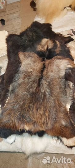 Шкура горного козло