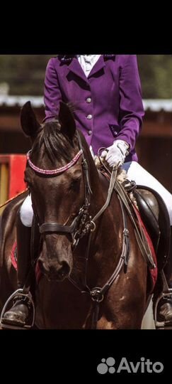 Редингот для конного спорта