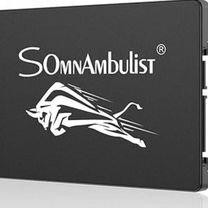 Ssd SATA 3 256gb