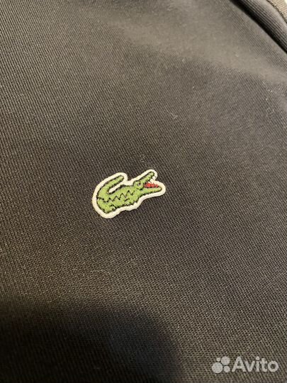 Свитшот lacoste оригинал