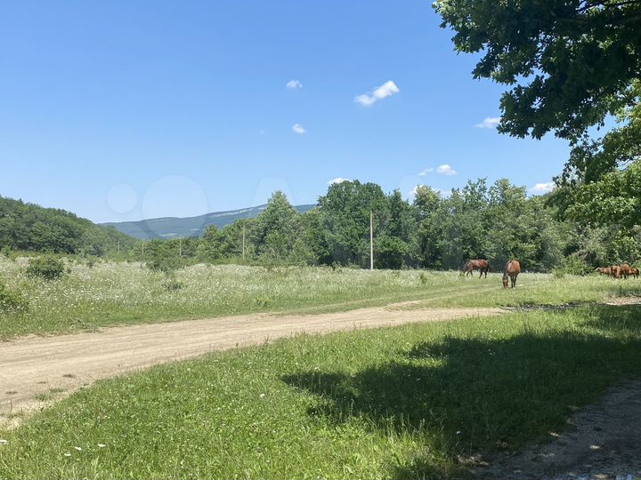 Участок 3 га (СНТ, ДНП)