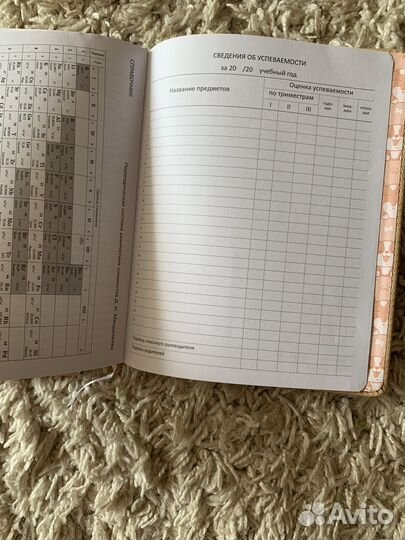 Новый дневник