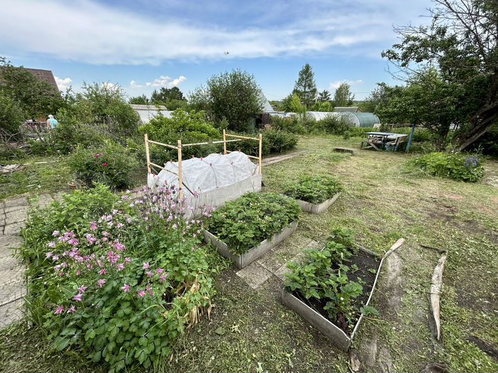 Дача 50 м² на участке 6 сот.