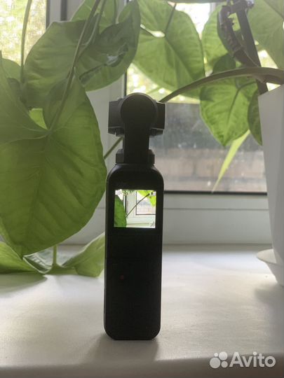 Камера dji osmo pocket 1