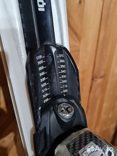 Горные лыжи