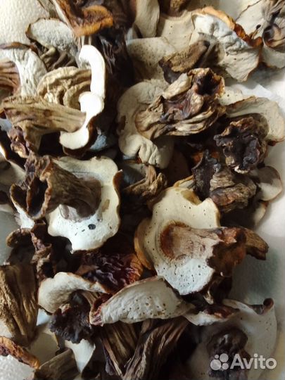 Грибы белые сушеные