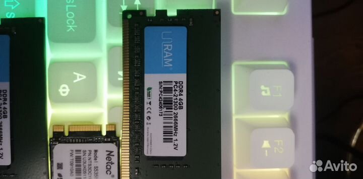 Netac 256 гб Внутренний SSD диск и ddr4 2666гц