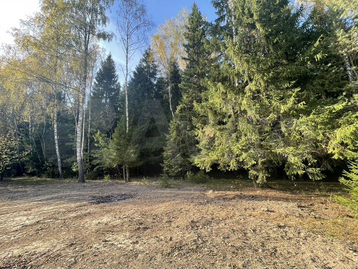 Участок 7 сот. (ИЖС)