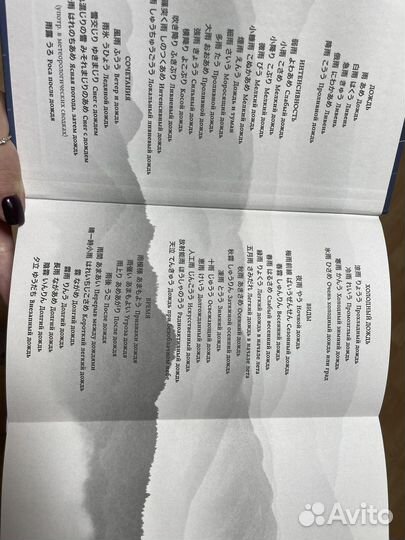 Книга Аша Лемми 