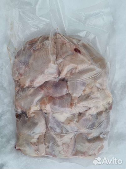 Перепелки. Яйцо, мясо. Инкубационное яйцо