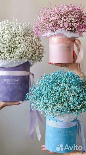 Композиции из живых цветов, гипсофилы