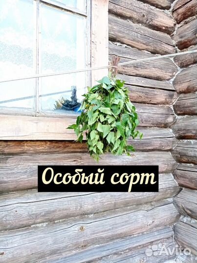 Веники для бани деревенские