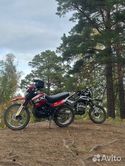 Racer panther 300