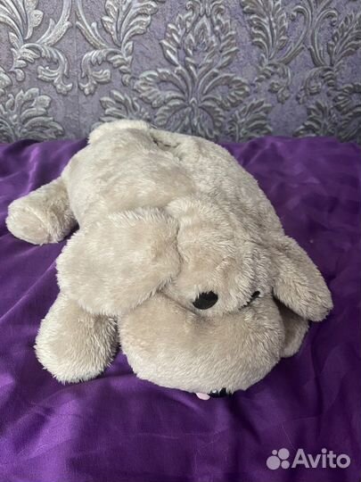 Салфетница собака