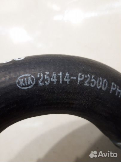 Патрубок системы охлаждения (Kia Sorento IV)