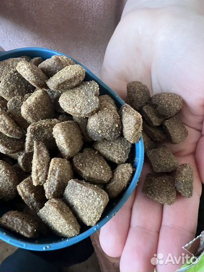 Корм для собак